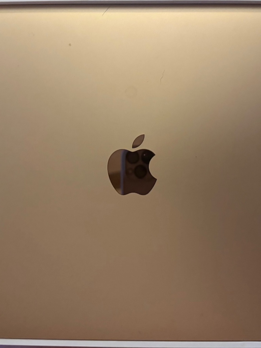 MacBook Air 13-inch Rose Gold purchased in 2020